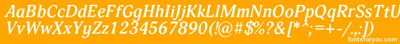 フォントAdoniscBolditalic – オレンジの背景に白い文字