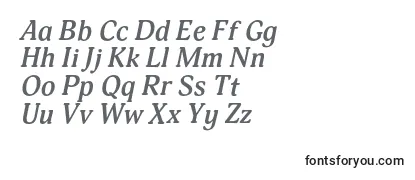 AdoniscBolditalic Font