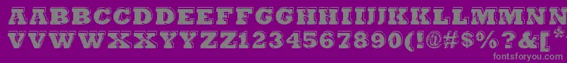 HangbordDsg Font – Gray Fonts on Purple Background