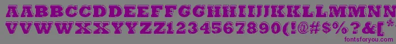 HangbordDsg Font – Purple Fonts on Gray Background