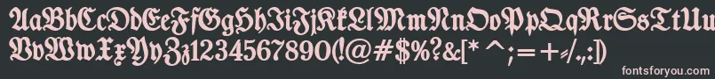 TypographerfrakturBold Font – Pink Fonts on Black Background