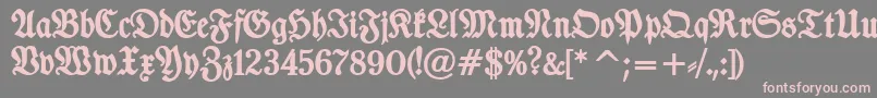 TypographerfrakturBold-Schriftart – Rosa Schriften auf grauem Hintergrund