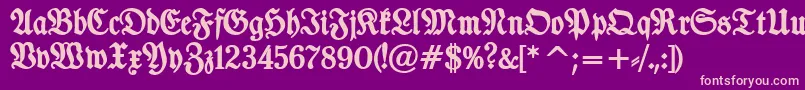 TypographerfrakturBold Font – Pink Fonts on Purple Background