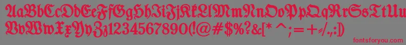 TypographerfrakturBold Font – Red Fonts on Gray Background
