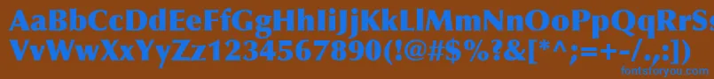 OptimaLtExtraBlack Font – Blue Fonts on Brown Background