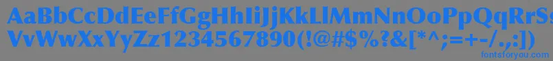 OptimaLtExtraBlack Font – Blue Fonts on Gray Background