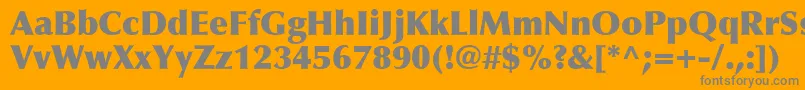 OptimaLtExtraBlack Font – Gray Fonts on Orange Background