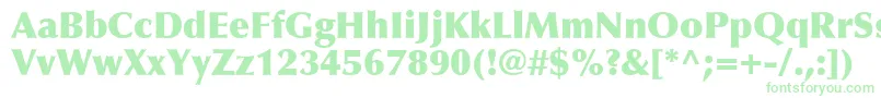 OptimaLtExtraBlack Font – Green Fonts