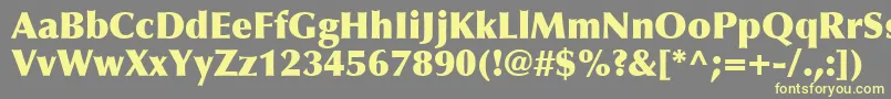 OptimaLtExtraBlack Font – Yellow Fonts on Gray Background