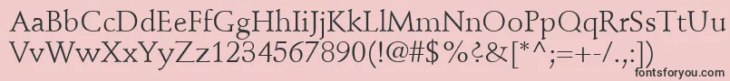 Шрифт StempelSchneidlerLtRoman – чёрные шрифты на розовом фоне