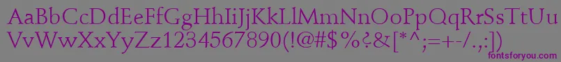 StempelSchneidlerLtRoman-Schriftart – Violette Schriften auf grauem Hintergrund