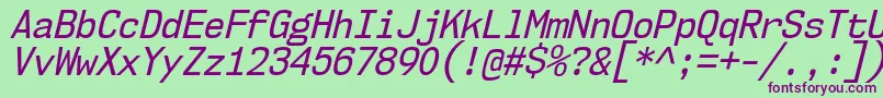 Nk57MonospaceScRgIt Font – Purple Fonts on Green Background