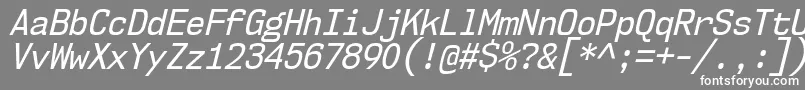 Nk57MonospaceScRgIt Font – White Fonts on Gray Background
