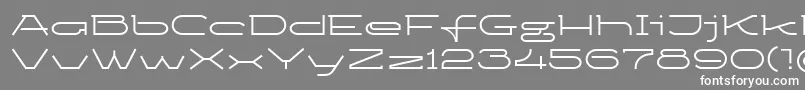 フォントKetosag – 灰色の背景に白い文字