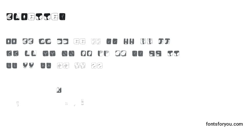 Czcionka Blaetter – alfabet, cyfry, specjalne znaki