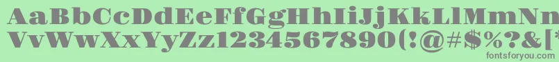 フォントGravitas – 緑の背景に灰色の文字