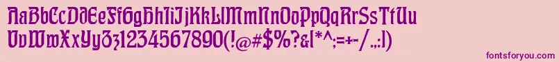 CatHohenzollern Font – Purple Fonts on Pink Background