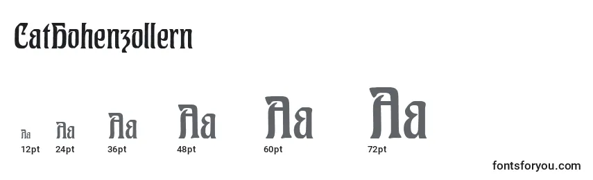 CatHohenzollern Font Sizes