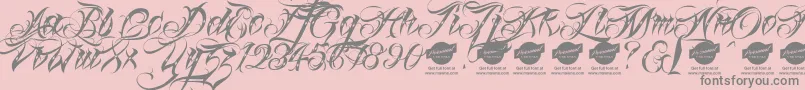 Linascriptdotaltdemo-Schriftart – Graue Schriften auf rosa Hintergrund