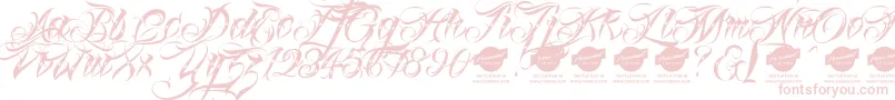Linascriptdotaltdemo Font – Pink Fonts