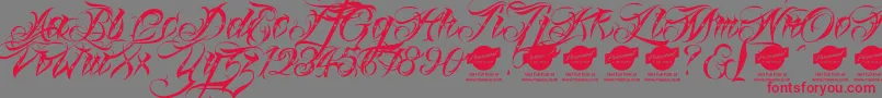 Linascriptdotaltdemo Font – Red Fonts on Gray Background