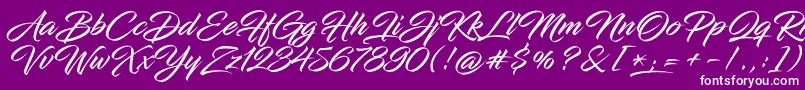 InfiniteStroke Font – White Fonts on Purple Background