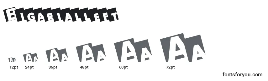 Размеры шрифта Bigarialleft