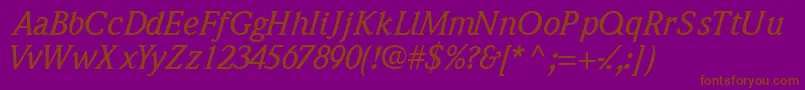 QuintessencemediumsskItalic Font – Brown Fonts on Purple Background