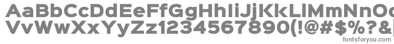 Шрифт Sinkinsans900xblack – серые шрифты на белом фоне