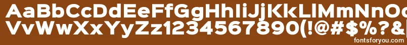 Sinkinsans900xblackフォントについての詳細 フォントSinkinsans900xblack – 茶色の背景に白い文字