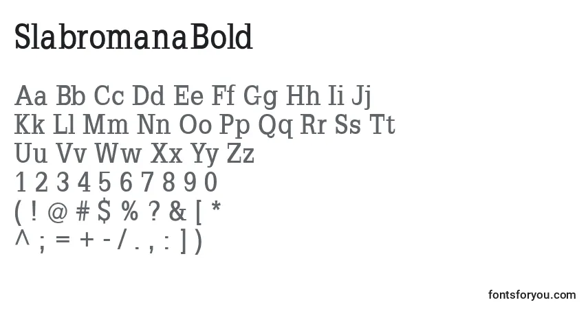 A fonte SlabromanaBold – alfabeto, números, caracteres especiais