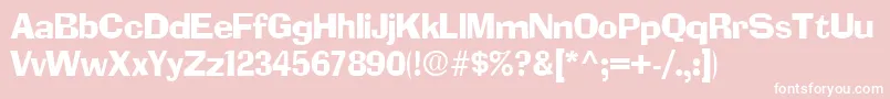 SocketRegular Font – White Fonts on Pink Background