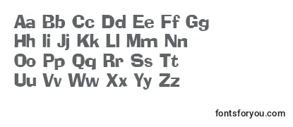 SocketRegular Font