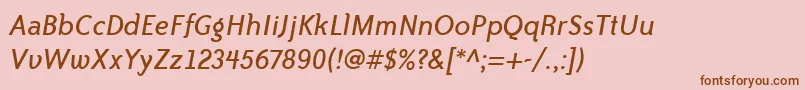 BaileySansItcTtBookitalic Font – Brown Fonts on Pink Background