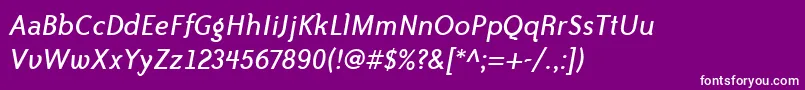 BaileySansItcTtBookitalic Font – White Fonts on Purple Background