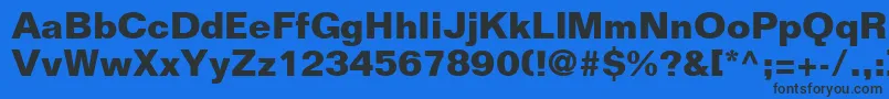LayoutSsiBold Font – Black Fonts on Blue Background