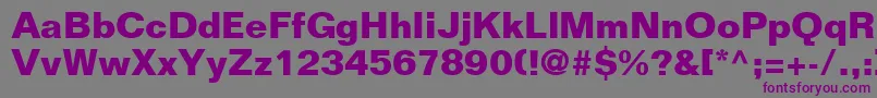 LayoutSsiBold-fontti – violetit fontit harmaalla taustalla