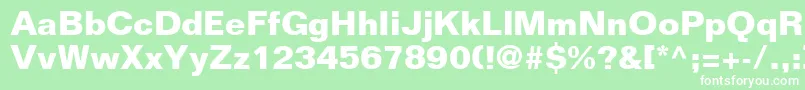 LayoutSsiBold Font – White Fonts on Green Background