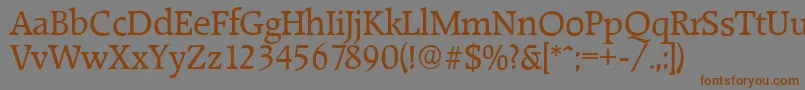 RaleighserialRegular Font – Brown Fonts on Gray Background