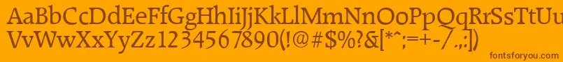 RaleighserialRegular Font – Brown Fonts on Orange Background