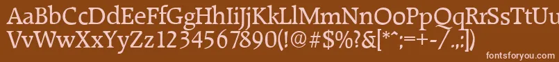 RaleighserialRegular Font – Pink Fonts on Brown Background