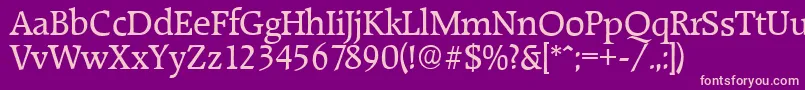 RaleighserialRegular Font – Pink Fonts on Purple Background