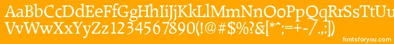 RaleighserialRegular Font – White Fonts on Orange Background