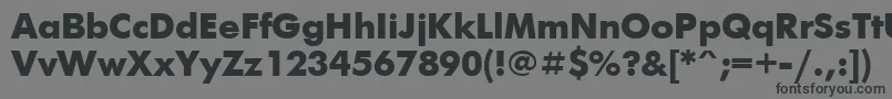 UkrainianfuturisBold Font – Black Fonts on Gray Background