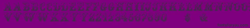 HoltzschueRegular Font – Black Fonts on Purple Background