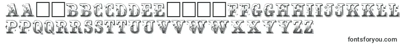 HoltzschueRegular Font – Macedonian Fonts