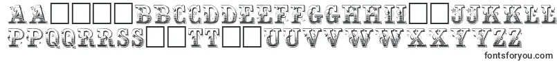 HoltzschueRegular Font – Romanian Fonts