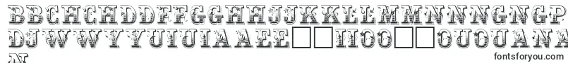 HoltzschueRegular Font – Creole Fonts