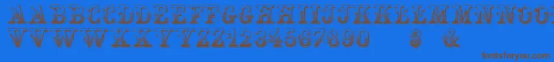 HoltzschueRegular Font – Brown Fonts on Blue Background