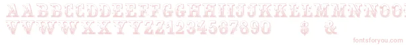HoltzschueRegular Font – Pink Fonts on White Background